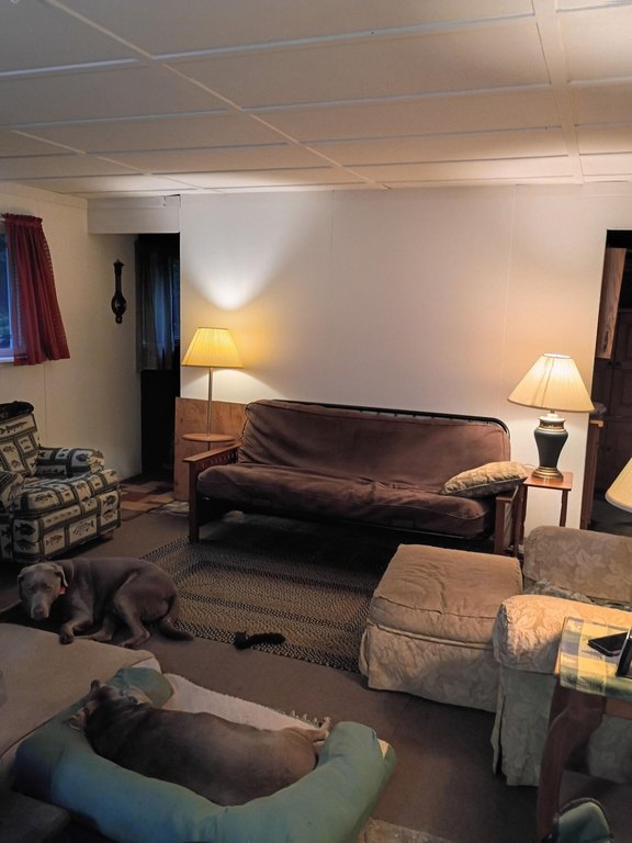 Picture 5