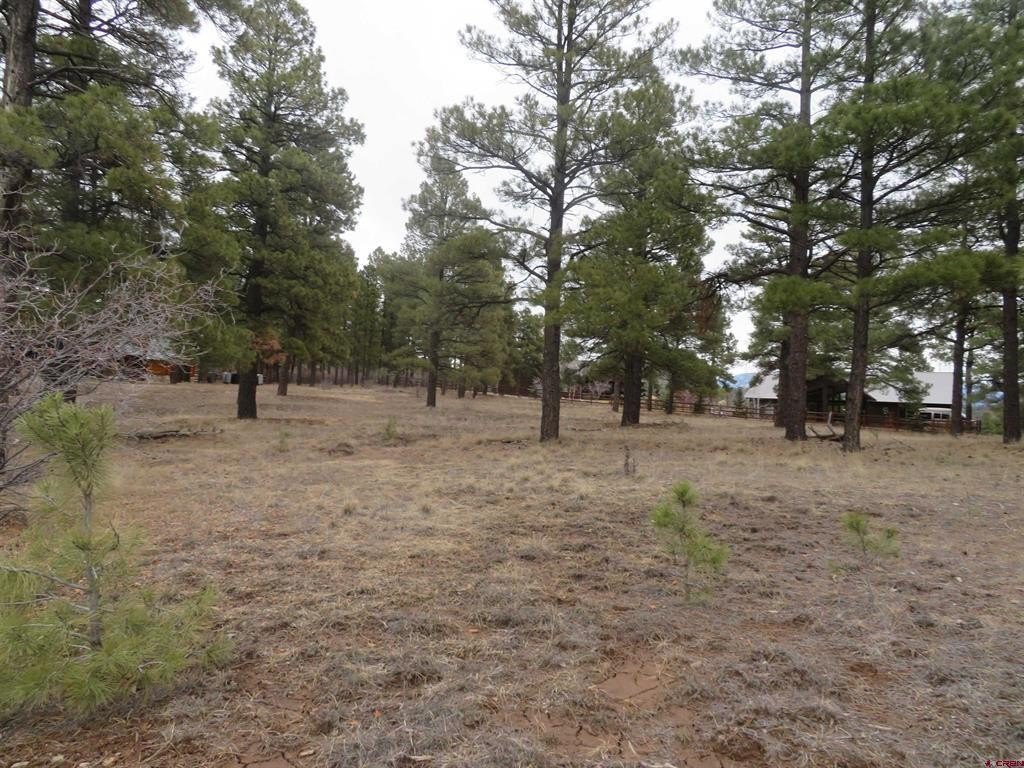 Picture 2