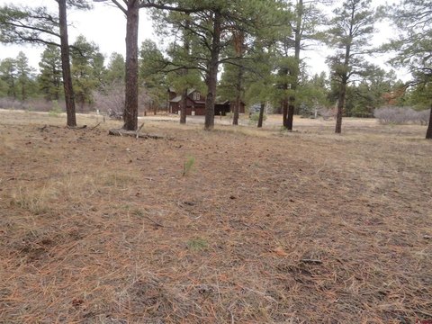 Land in Pagosa Springs, CO
