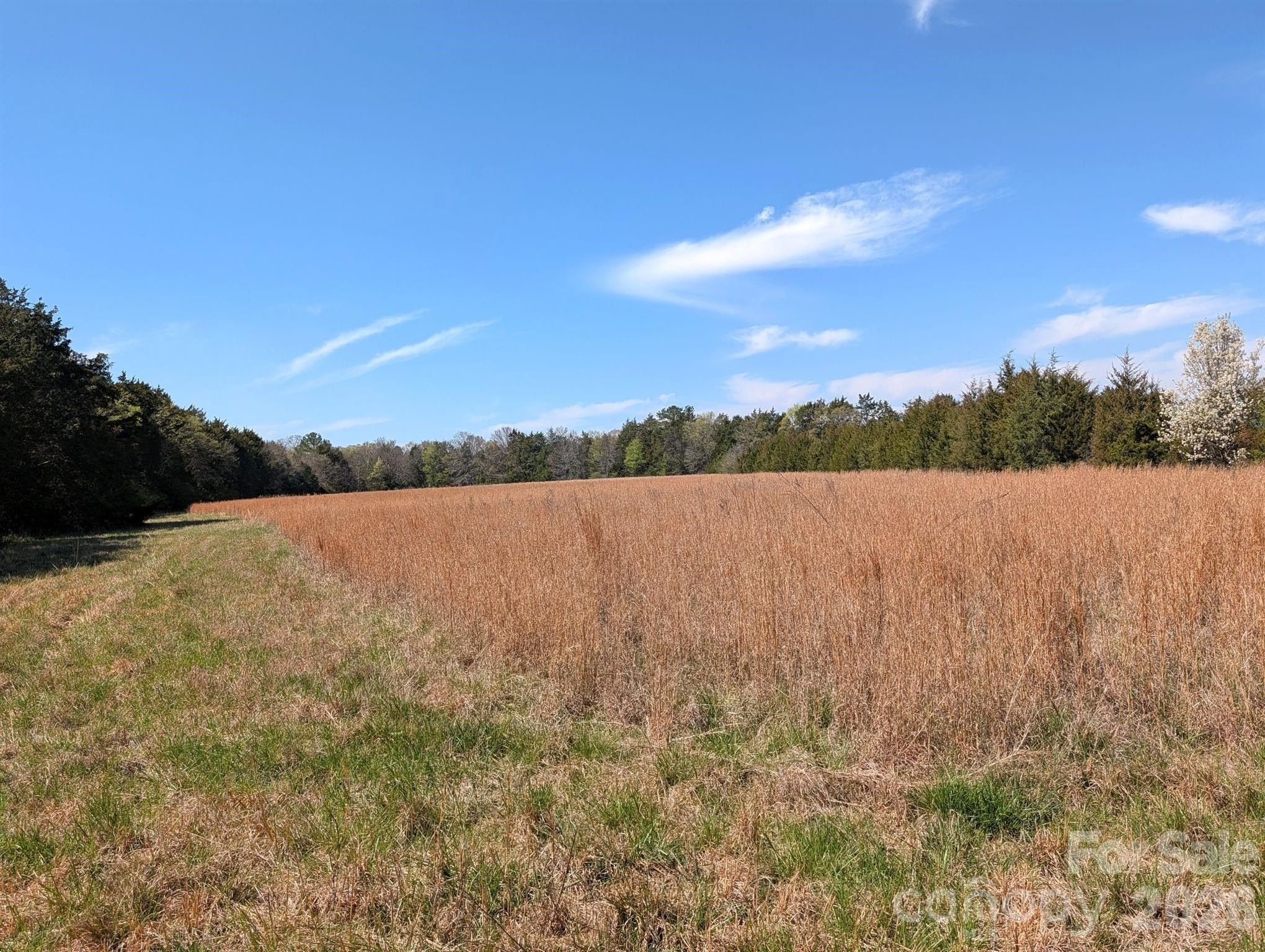 21.718 Acres of Level Land