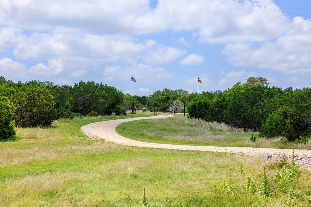 Picture 44