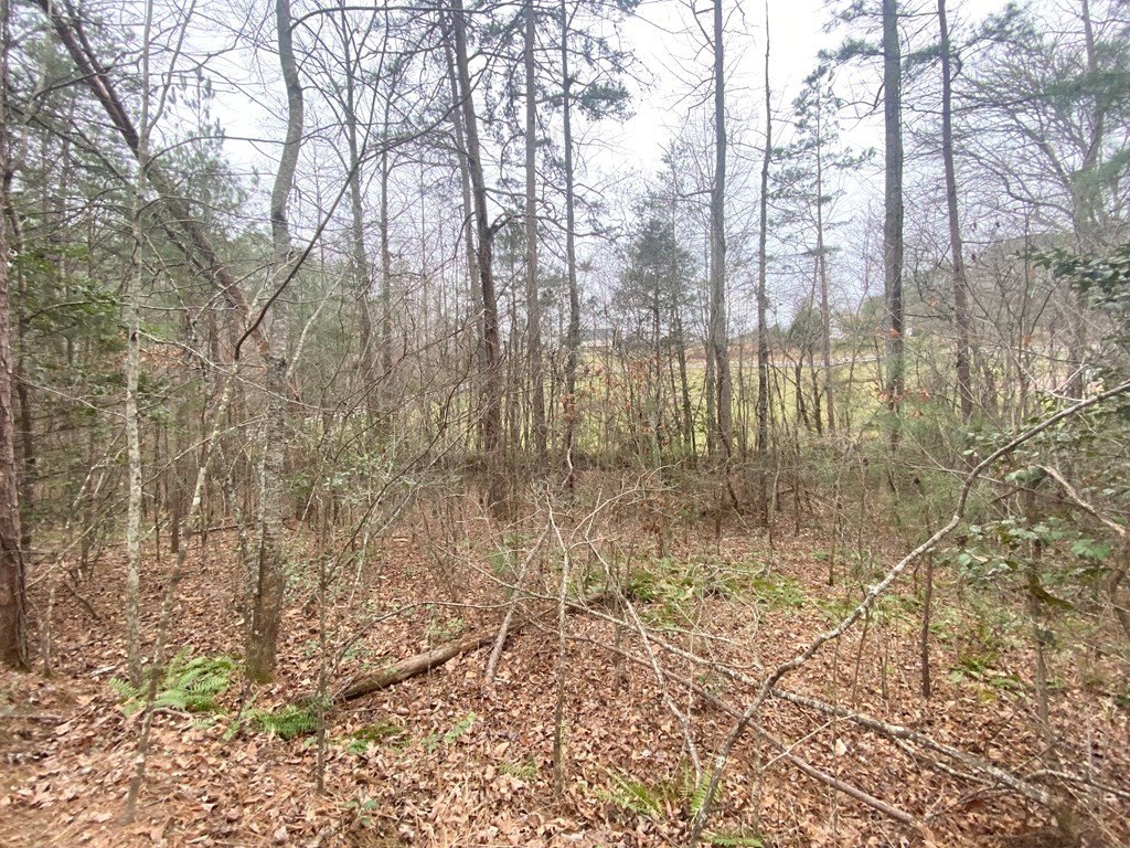 Picture 14
