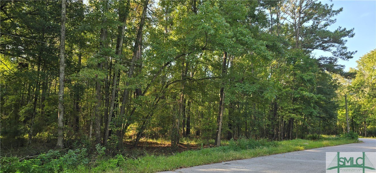 Pooler Industrial Land Opportunity