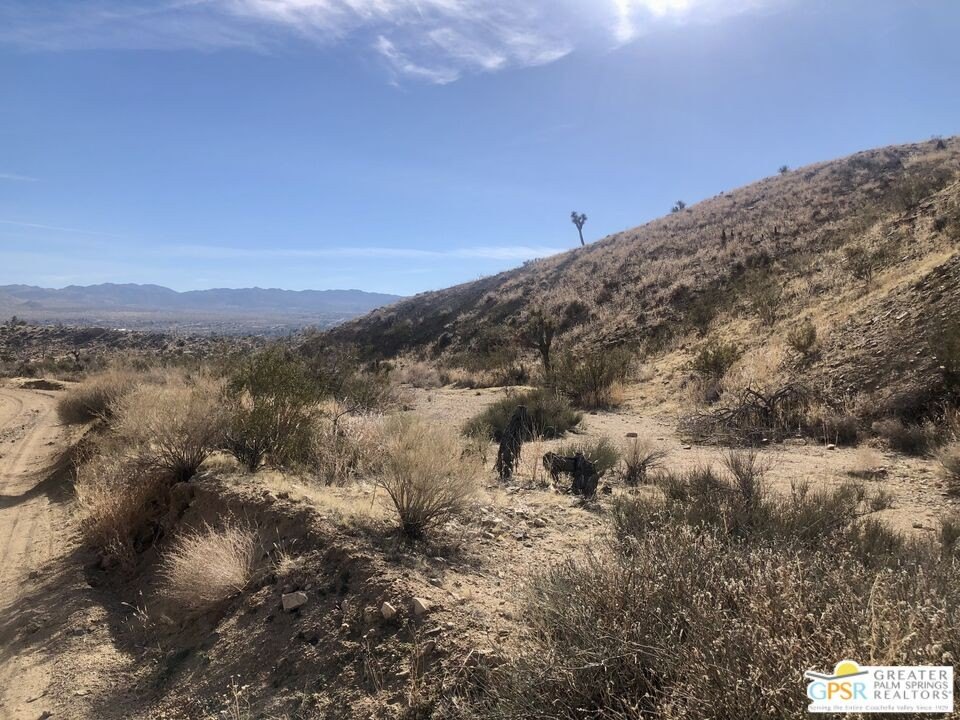 Picture 5