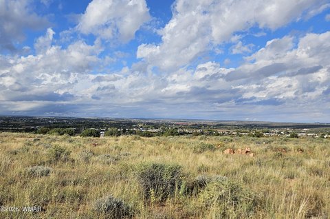 Land, Snowflake, AZ