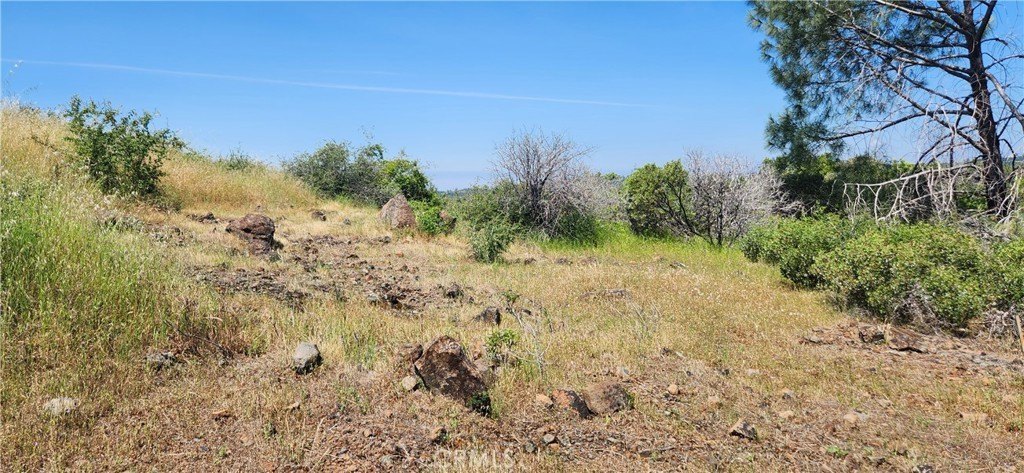 Picture 23