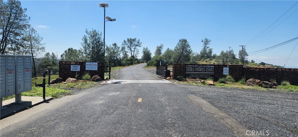 Picture 27