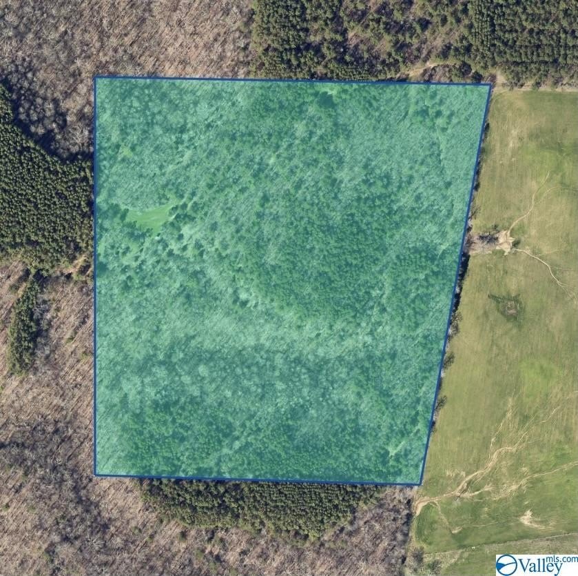 36 Acres Moulton Land
