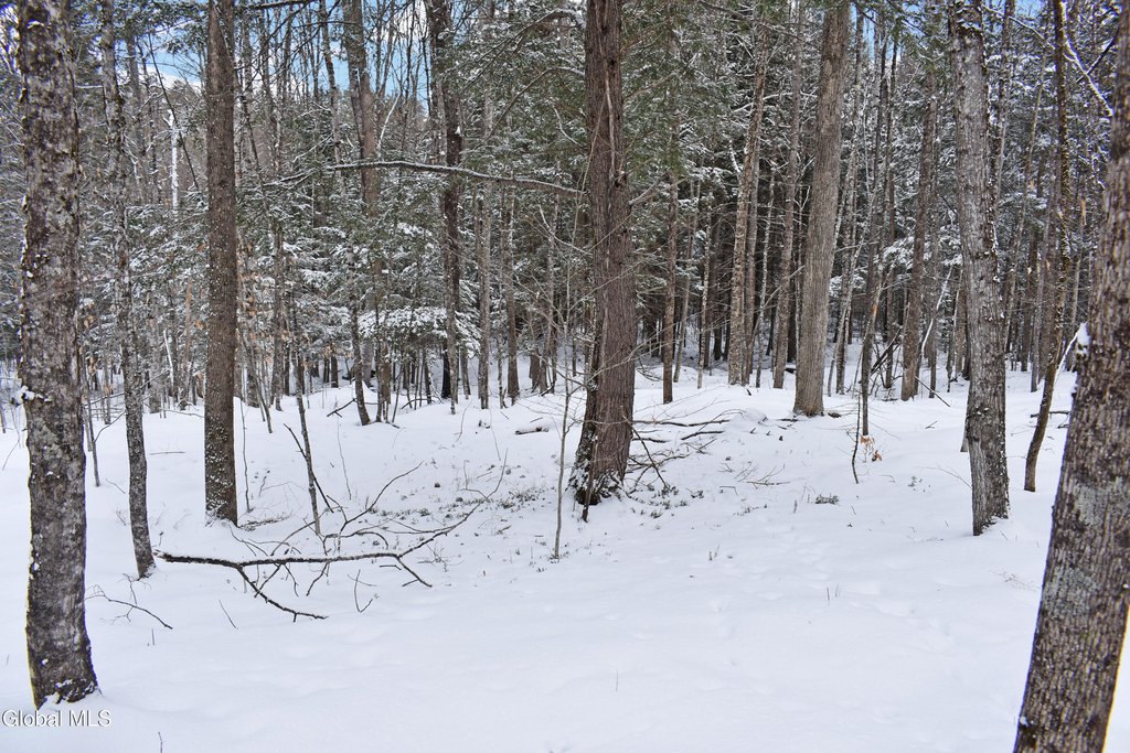 Picture 4