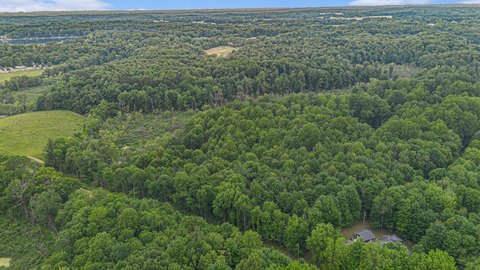 30+ Acre Buchanan Township Land