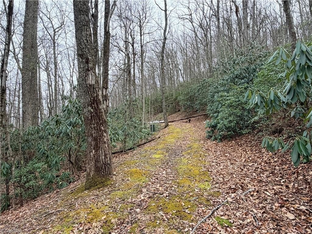 Picture 2