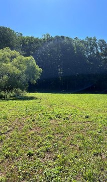 Talking Rock Acreage with Creek