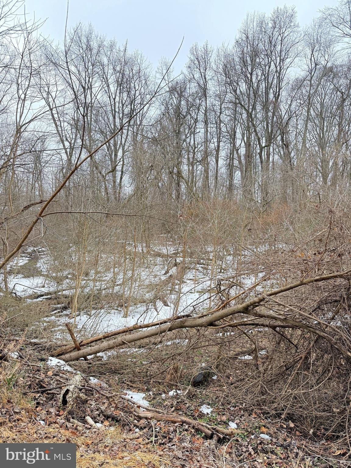 Acre Lot in Indian Head