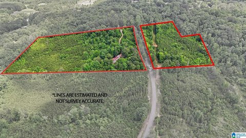 21 Acres with Income Potential