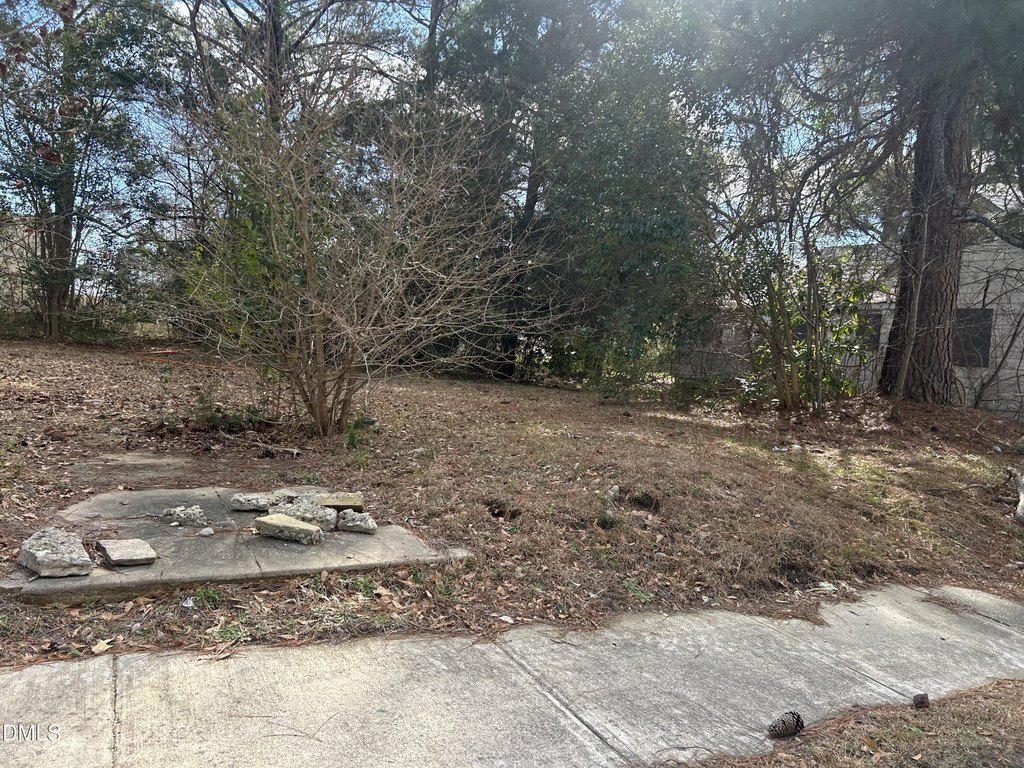 Picture 2