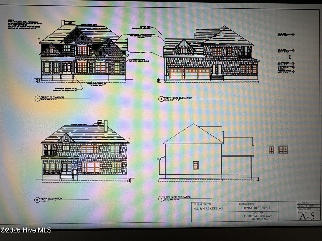 Picture 19