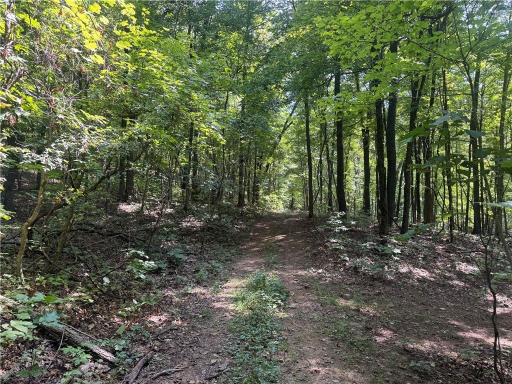 40 Acres Hunting Land in Arkansas