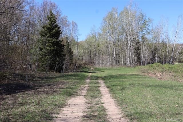 Picture 31