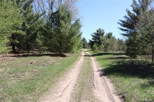 Picture 27
