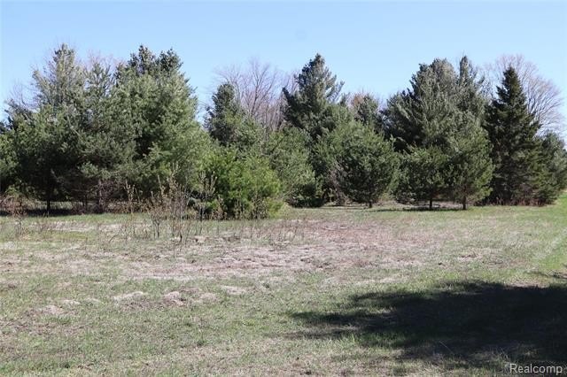 Picture 29
