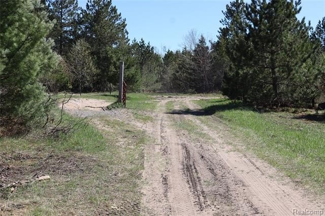 Picture 14