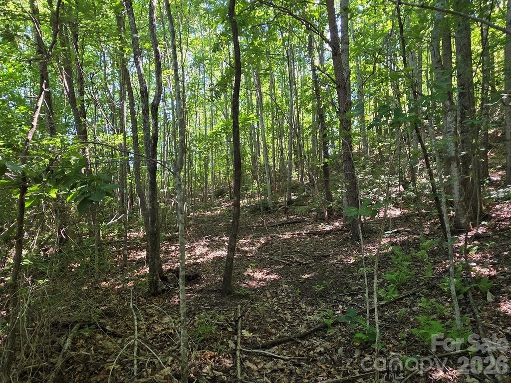 Picture 13