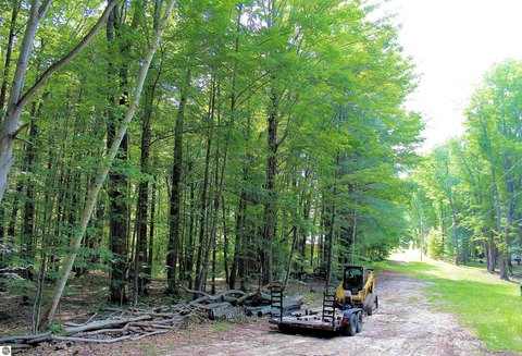 Partially Cleared Wooded Lots