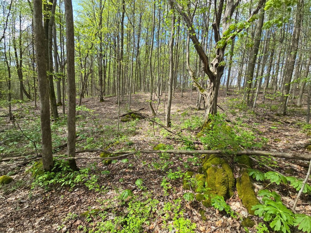 Picture 19
