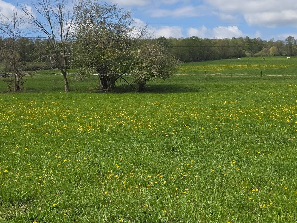 Picture 32