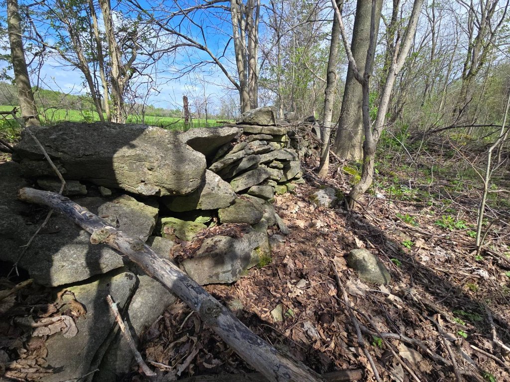 Picture 27