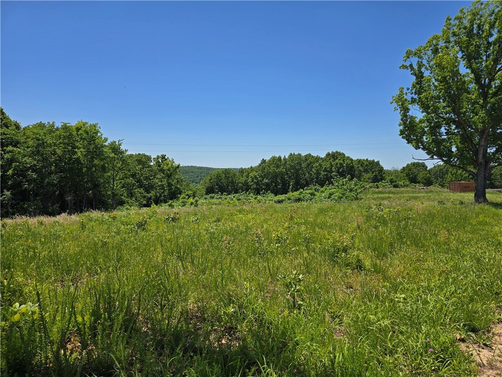 Picture 10
