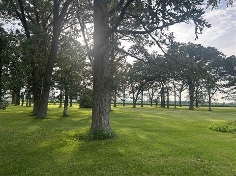 Waterfront Wooded Building Lot