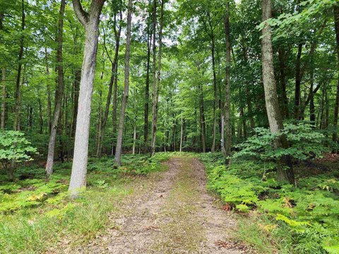 LAND - Farwell, MI