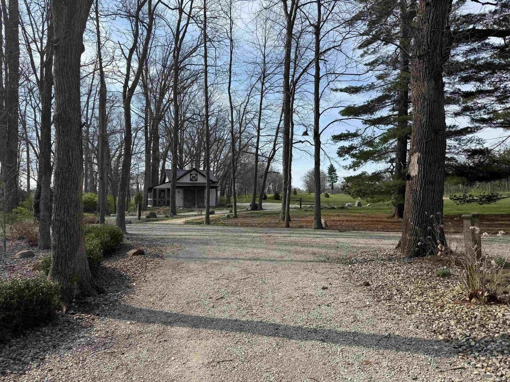 Picture 10