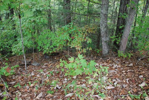 Sevierville, TN One Acre Lot