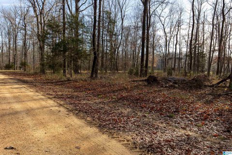 LAND - ORRVILLE, AL