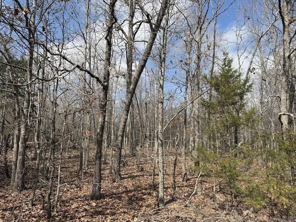 Picture 45
