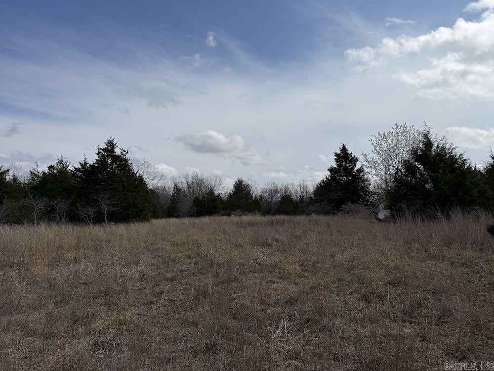 Picture 42