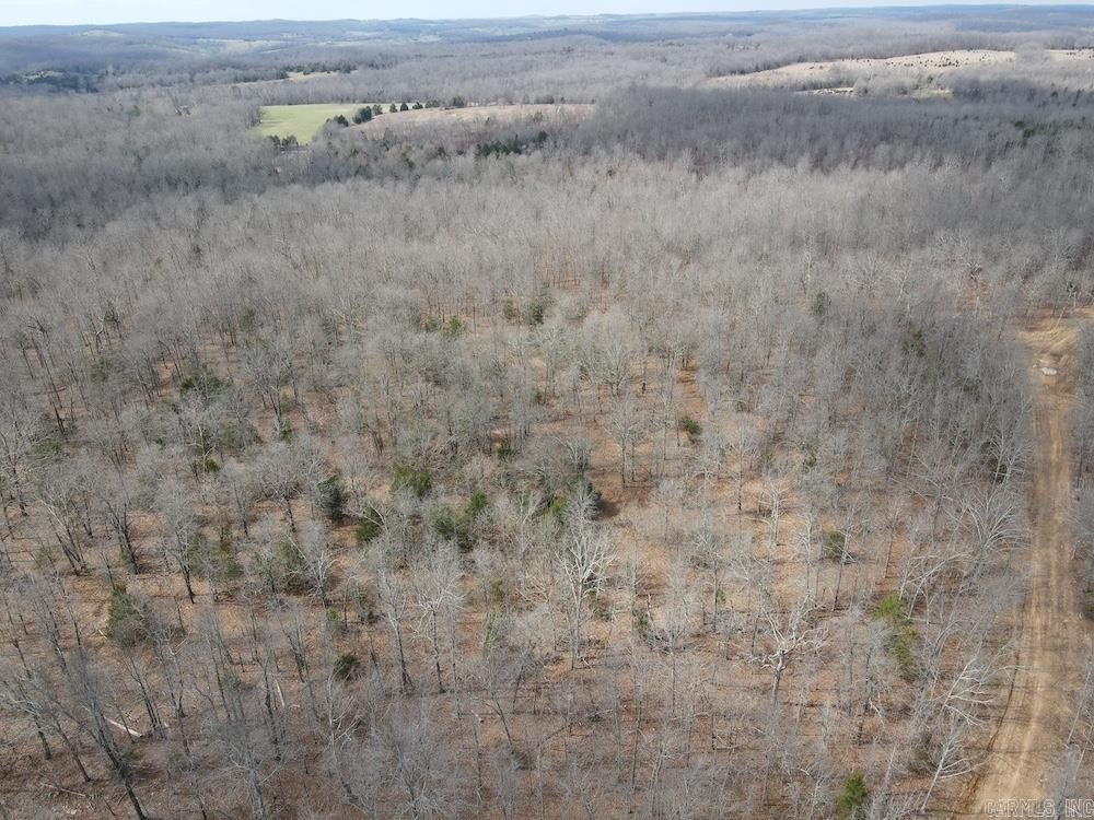 Picture 19