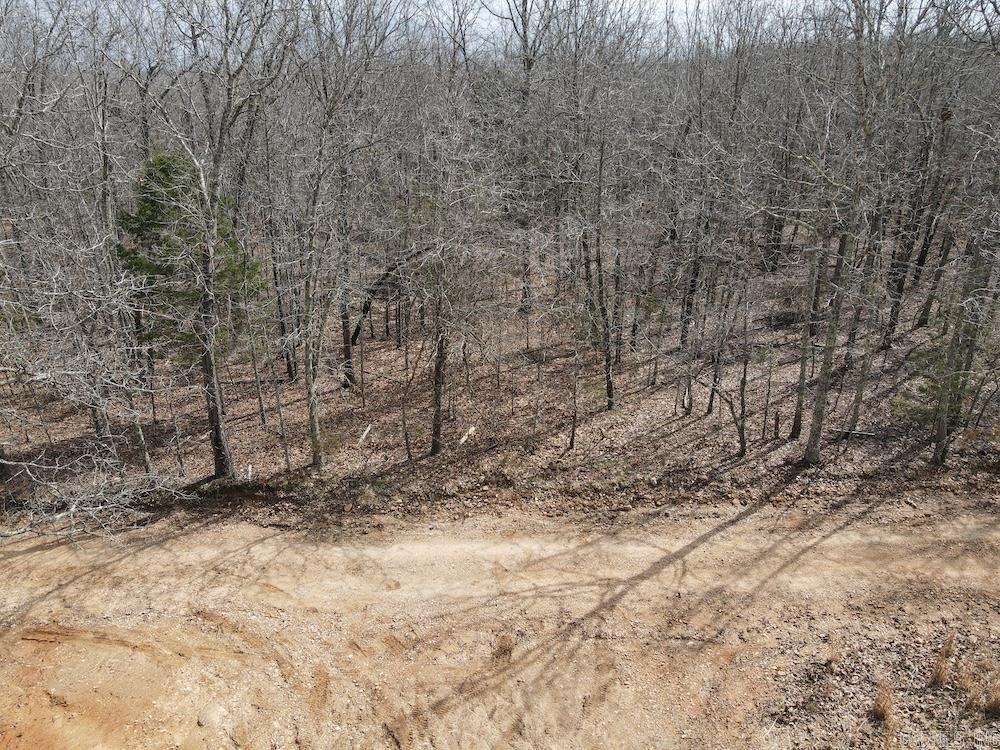 Picture 13