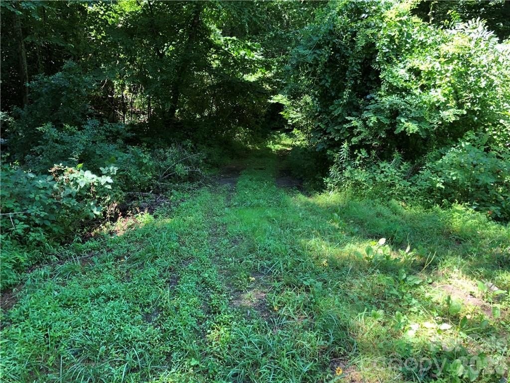 Picture 9
