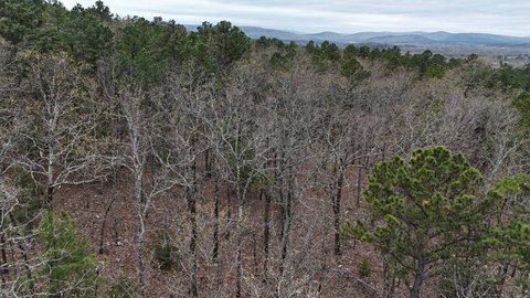 Vacant Land in TALIHINA, OK