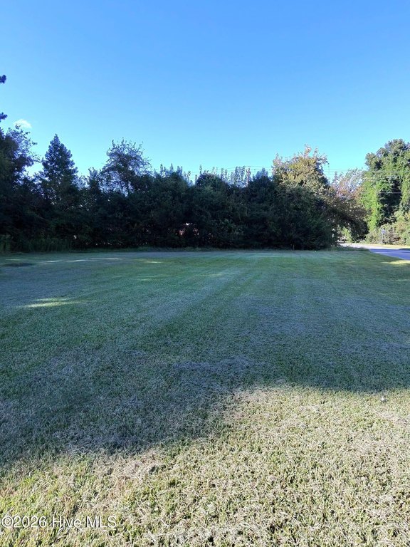 Picture 4