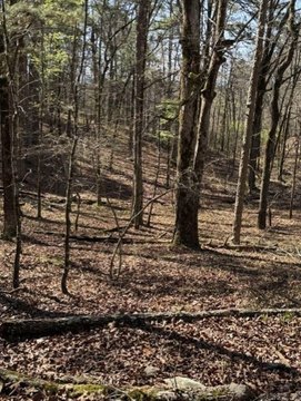 LAND - Hot Springs, AR