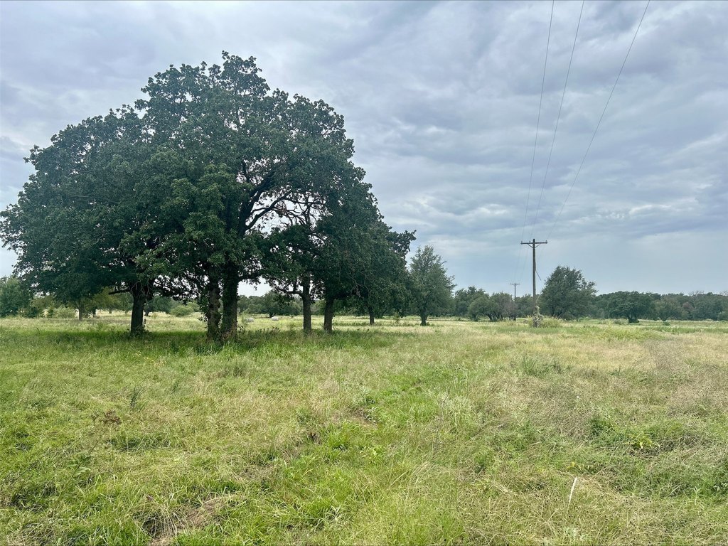 Picture 24
