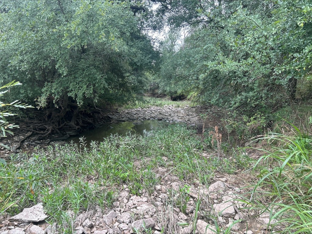 Picture 22
