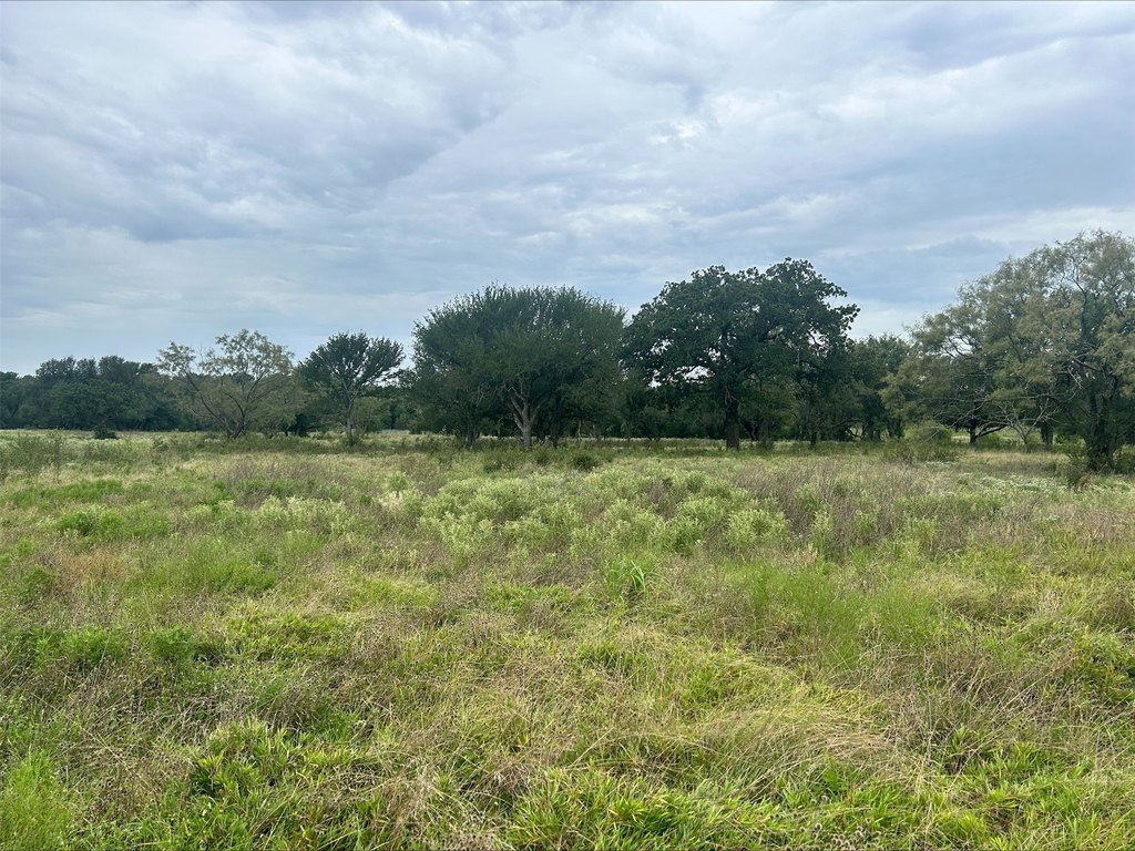 Picture 21
