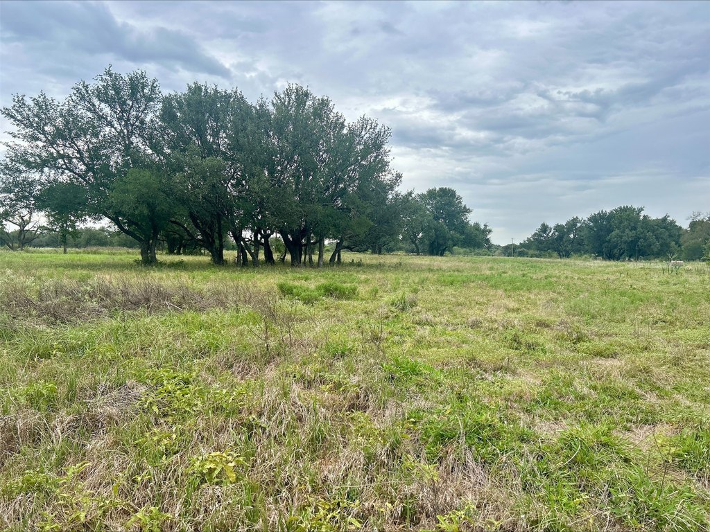 Picture 29