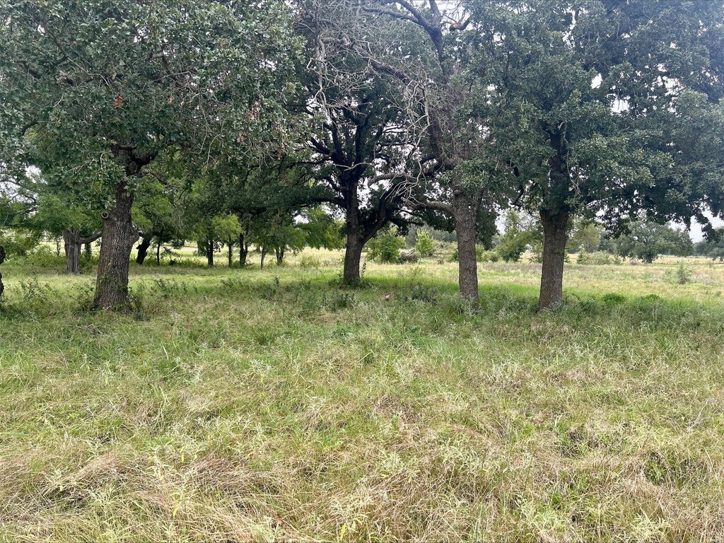 Picture 27