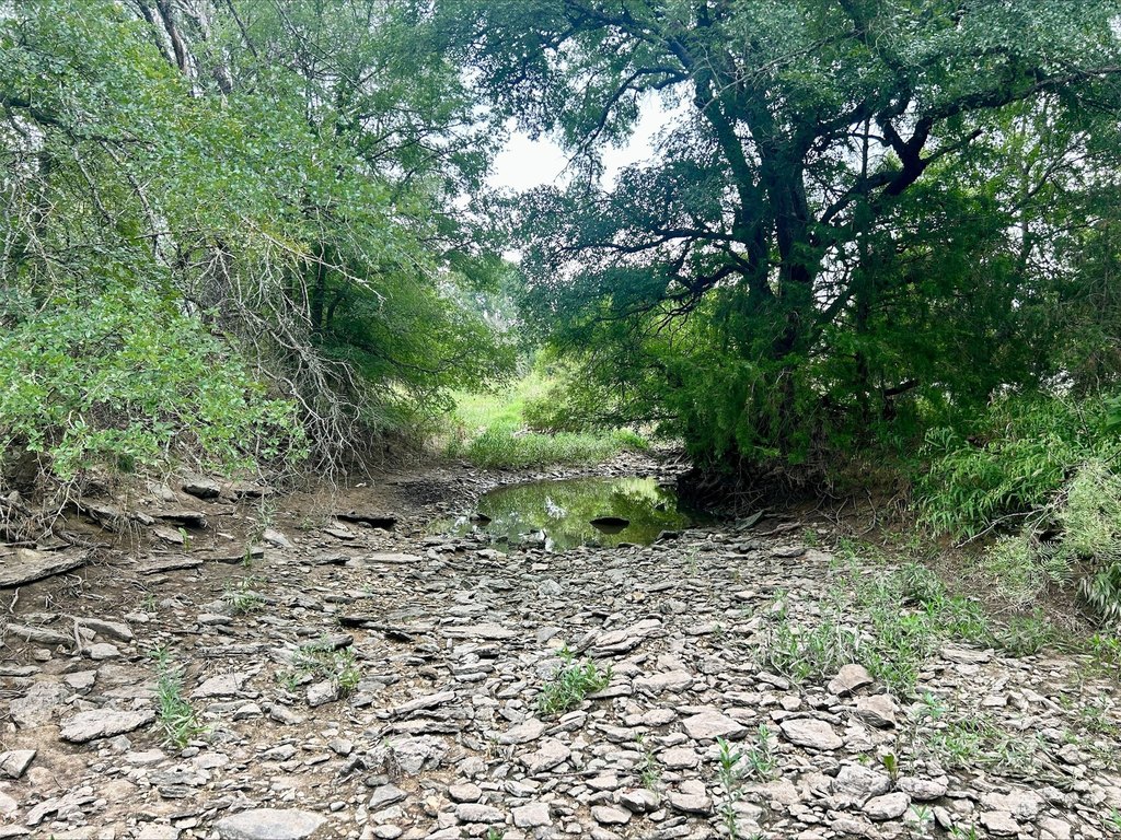 Picture 15